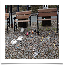 04 Lymm Cross litter  - Carol Sparkes